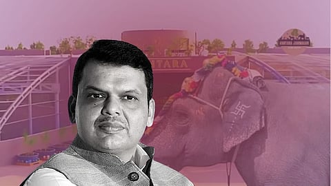 Breaking! Nandani Math On CM