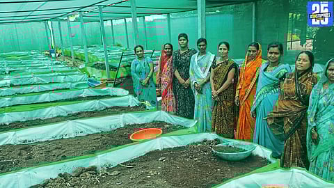 Village Women Turn to Organic Farming, Reap ₹20 Lakh in Quarter