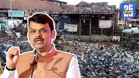 CM Devendra Fadnavis