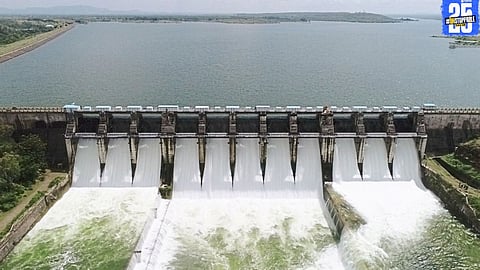 Impact of African Chilapi on Indian fisheries