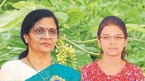 Shivaji University Research