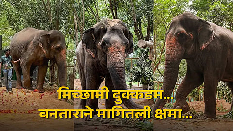 Vantara letter Elephant