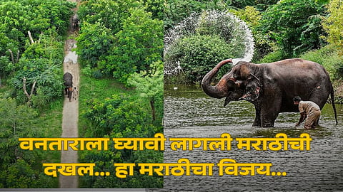 Gujarat Vantara Marathi Respect