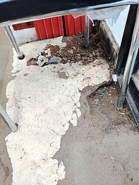 मालमत्ता करभरणा केंद्राला वाळवी