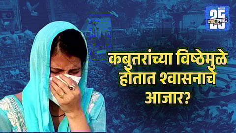 Pigeon Droppings Cause Health Hazards, Including Allergies, Asthma, and Respiratory Issues