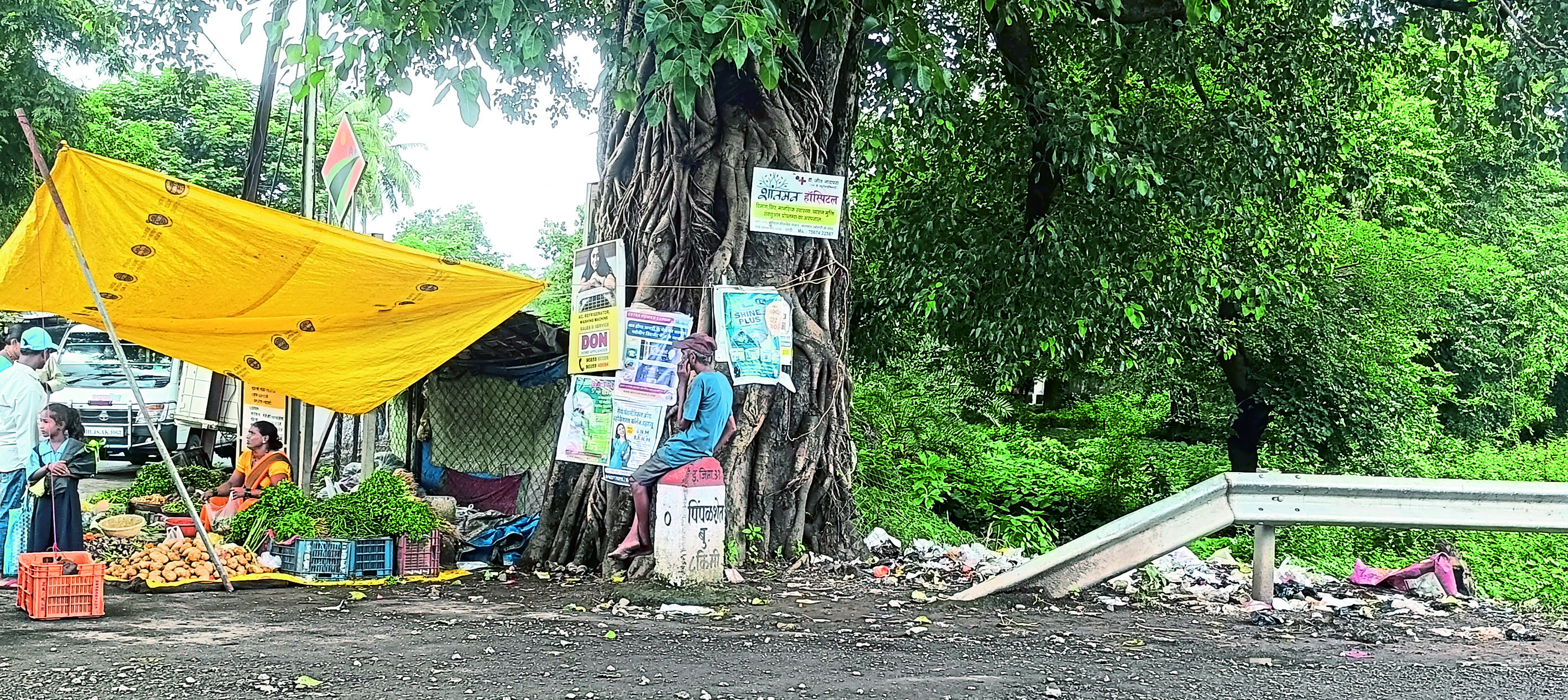 झाडांना फलकबाजीचा विळखा