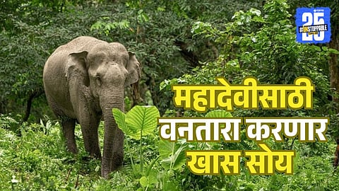 Mahadevi Elephant