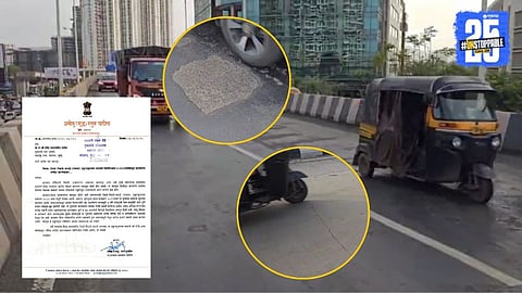 Palava Bridge structural audit