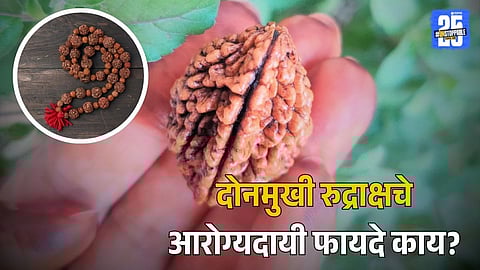 Benefits of Two Mukhi Rudraksha
