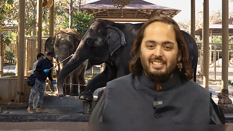 Anant Ambani
