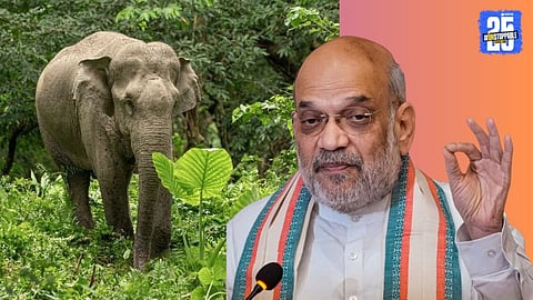 amit shaha