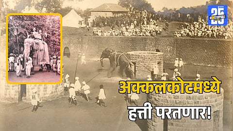 Elephant Swinging Tradition