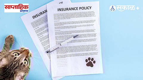 pet insurance