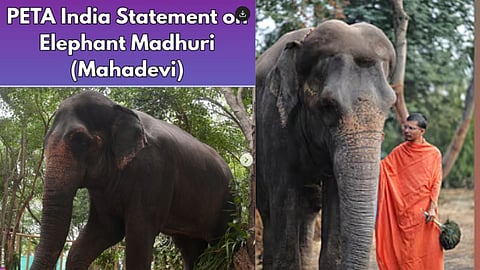 PETA India On Mahadevi Elephant