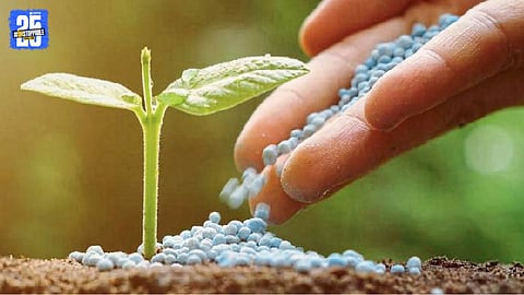 chemical fertilizers