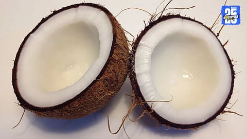 Coconut Prices