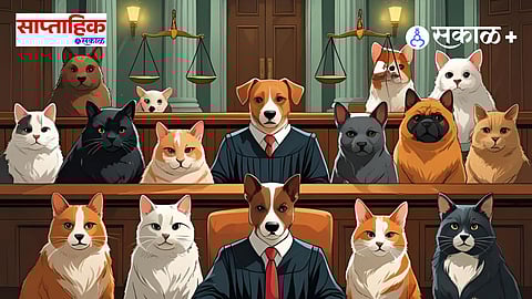 pet law