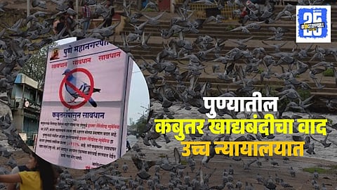 Pune Pigeon Feeding Ban Petition 