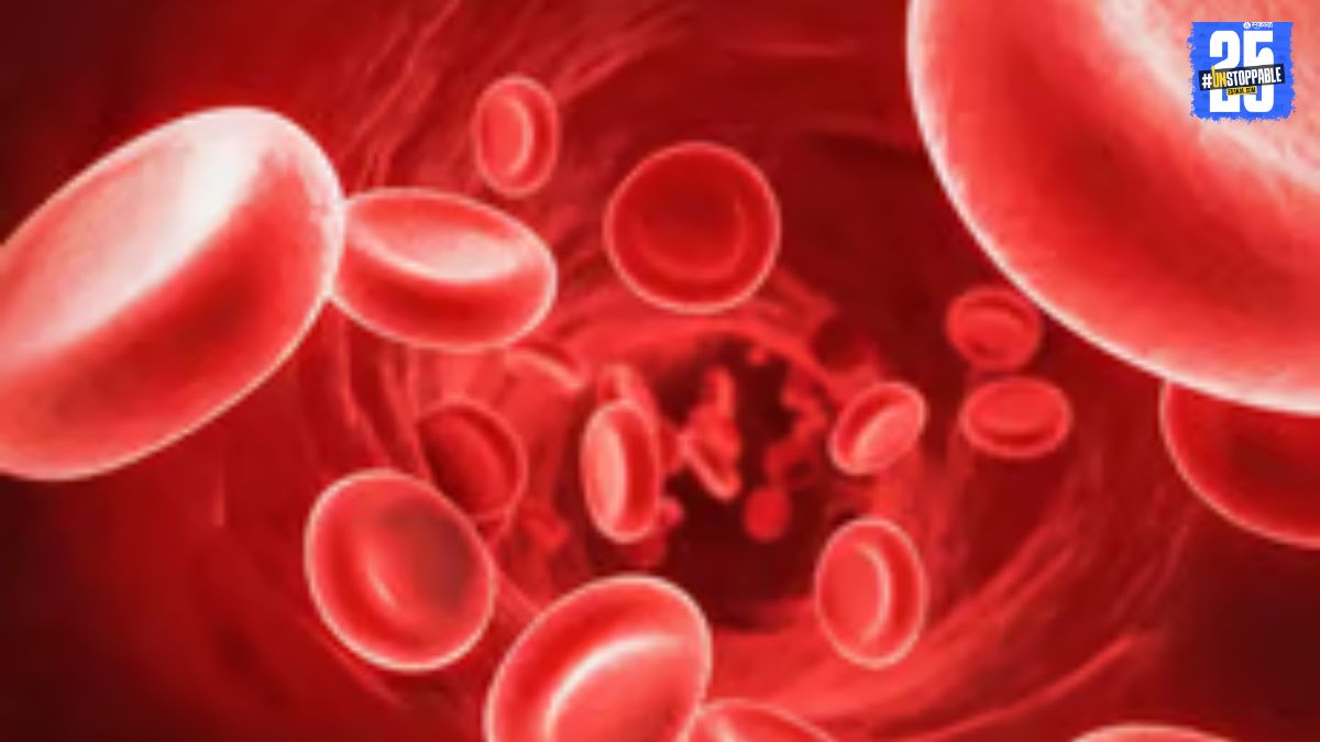 "Cardiovascular diseases remain the leading cause of death worldwide, with heart and blood pressure disorders on the rise."