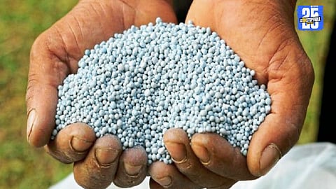 Agriculture Department officials inspecting fertilizer stock in Satara district shops before suspending licenses.