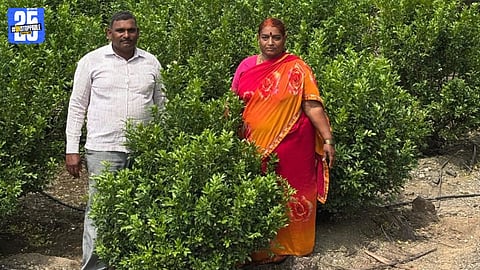 Farmer Bandupant Chaudhary showcasing blooming Madhukamini flowers grown on rocky soil in Maharashtra.