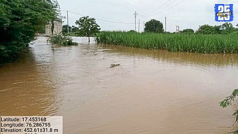 Floodwater from Bori river enters farms in Akkalkot and Maindargi after heavy rainfall.