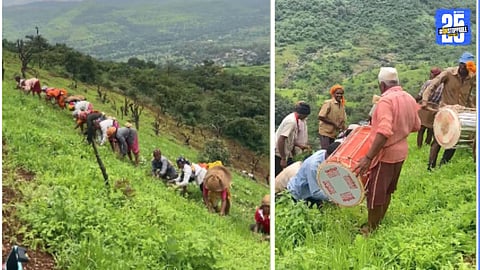 Collective Farming at Torna Fort Foothills