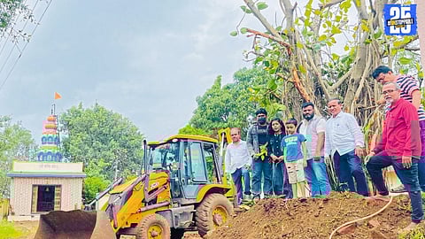 Villagers in Rahimatpur replant an ancient banyan tree at the Jyotirling temple premises.