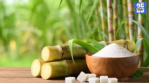 Nine sugar mills in Solapur owe ₹81 crore to farmers, delaying much-needed payments.