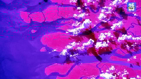 NASA astronaut Don Pettit shares Ganges River Delta photo from space