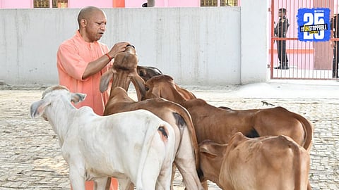 Uttar Pradesh  