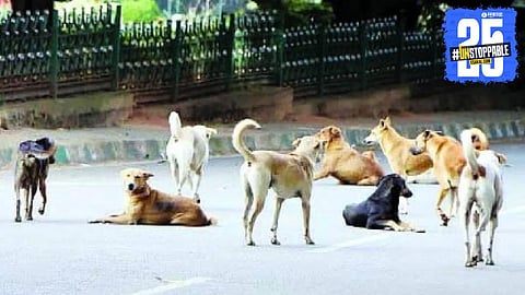 JDS MLC SL Bhojegowda’s shocking disclosure about 2,500 dogs being killed and buried sparks political and public outrage in Karnataka.

