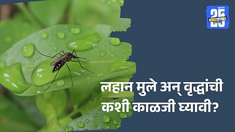 elderly care tips for dengue and malaria prevention  

