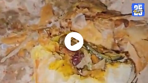 Viral Video : धक्कादायक ! महिलेने बेकरीतून आवडीने खरेदी केला करी पफ, उघडताच निघाला साप, पाहा व्हिडिओ 