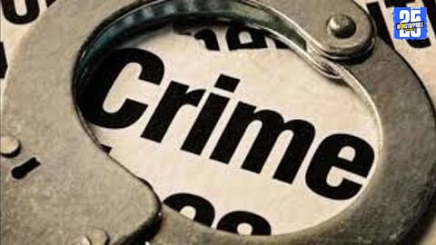 Vashan windmill: Copper wire worth ₹75,000 stolen, police probe underway.