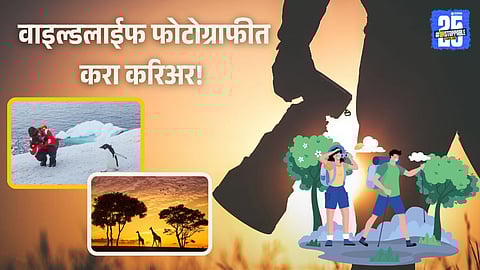 Professional Wildlife Photography Job