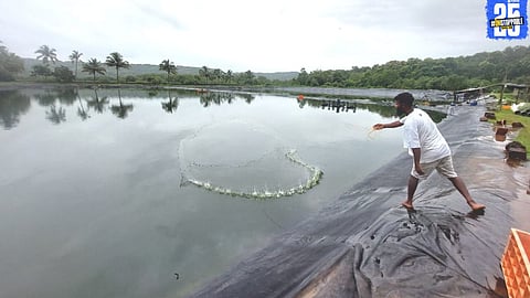 "Prawn conservation projects in Maharashtra seek government backing amid high export risks."