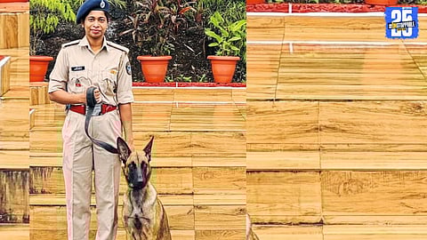 Belgian Shepherd dogs patrol Sahyadri Tiger Reserve under the supervision of dog handler Sarika Jadhav, aiding in hunting control."