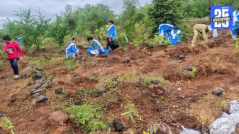 भवरापूर (ता. हवेली) येथे वृक्षारोपण करताना वृक्षारोपण करताना सेवक.
