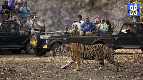 Tourists stranded inside Ranthambore National Park after safari vehicle breakdown, left in the dark while guide fled, raising serious safety concerns.