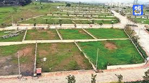 undeveloped land