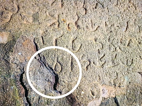 नाणेघाट शिलालेखाचे संवर्धन काळाची गरज