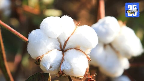 Agriculture News 