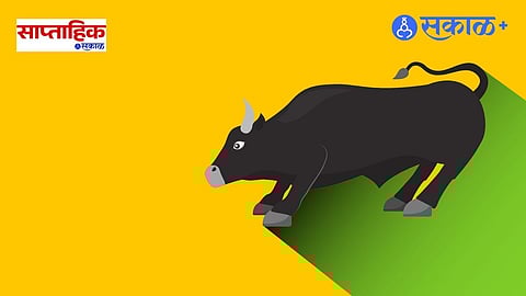Stock market