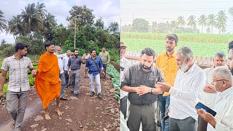 Madhuri Elephant Care