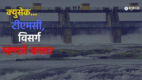 cusack meaning in marathi