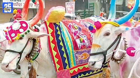 Bail Pola Festival 2025