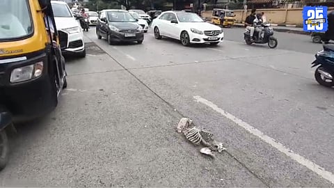 Human Skeleton on yerawada road