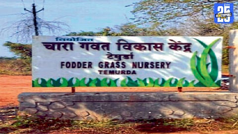 Forest Department