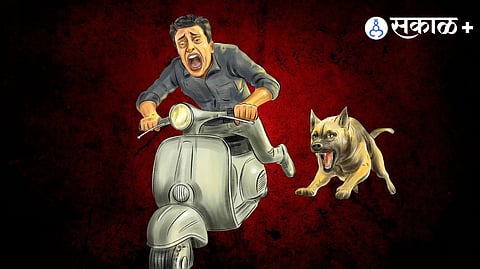 Stray dog menace in India